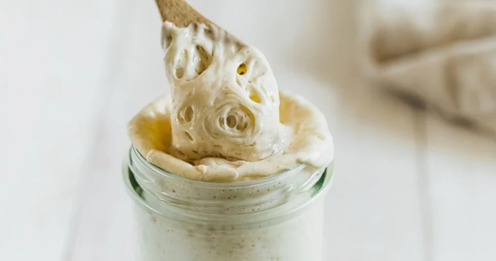 sourdough starter sourdough starter